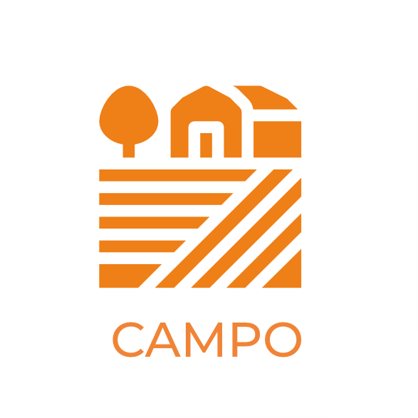 Campo